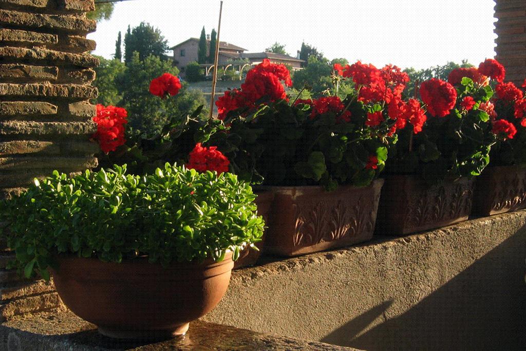 Casale Aurora Villa Viterbo Cameră foto